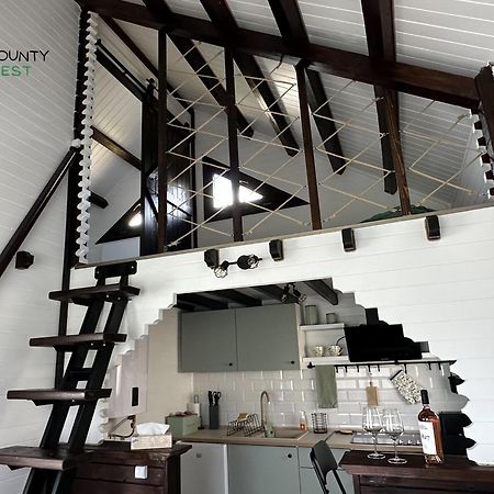 Mounty Nest Fundata Exterior photo